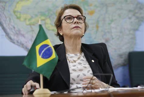 Parlamentares aguardam Tereza Cristina para decidir permanência no União Brasil 