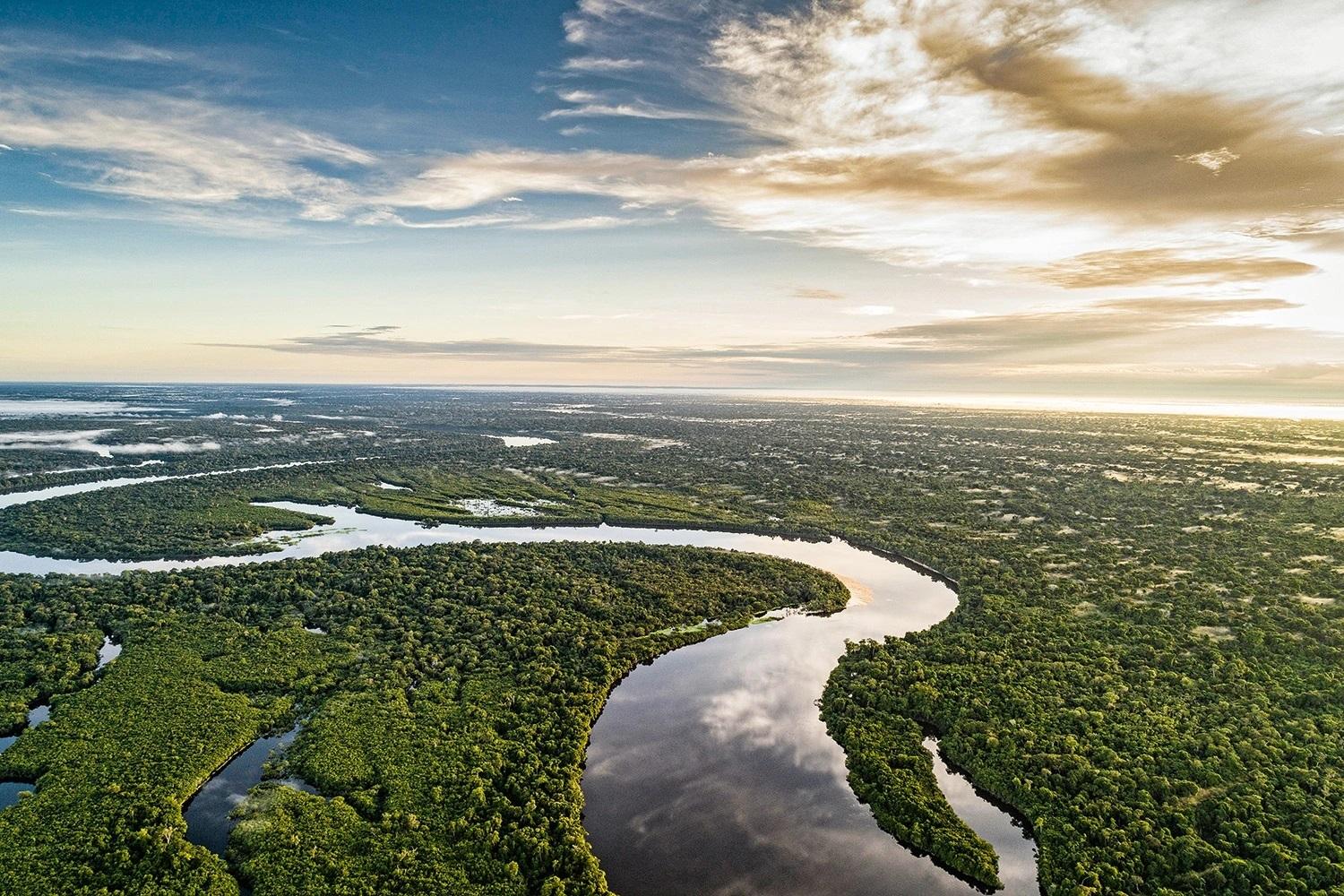 Floresta Amazônica fica menos resiliente e mais perto de 'ponto de inflexão’, diz estudo