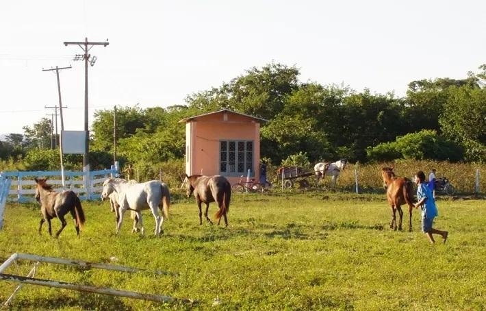 Justiça Federal manda Incra garantir distribuição de água a famílias de assentamento em MS